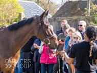 NH220326-29 - Thewoodcorner